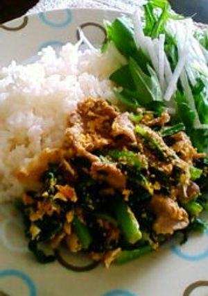 小松菜と豚肉の炒め物-レシピのメイン写真