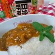 一日分の野菜で☆お野菜色のカレー☆
