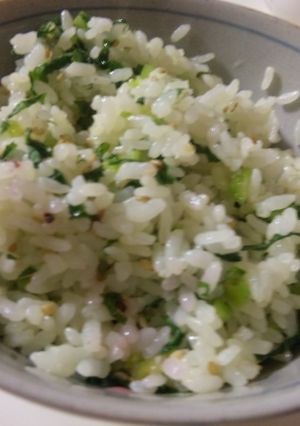 大根の葉&しらす(ニボシ)ご飯-レシピのメイン写真