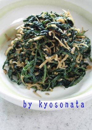 葉唐辛子の食べるラー油炒めヽ(^o^)丿-レシピのメイン写真