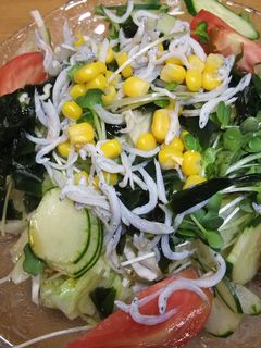我が家の、おなかいっぱいサラダ♪うどん♪-レシピのメイン写真
