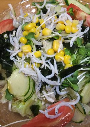 我が家の、おなかいっぱいサラダ♪うどん♪-レシピのメイン写真