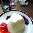 ☆ミルク☆ヨーグルトゼリー☆