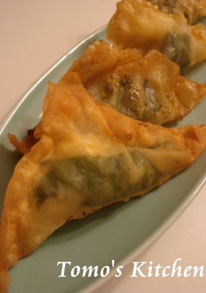 おつまみに♪ワンタンの包み揚げ-レシピのメイン写真