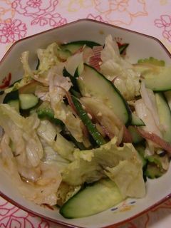 ゆず胡椒でさっぱり!夏野菜ゴーヤサラダ-レシピのメイン写真