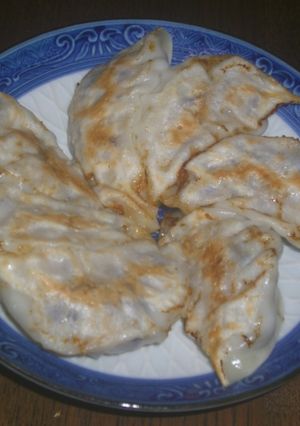 梅風味のとりなす餃子-レシピのメイン写真