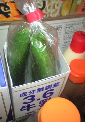 きゅうりの保存方法!-レシピのメイン写真