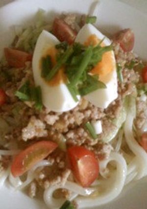 さっぱり美味しい冷やしうどん☆-レシピのメイン写真
