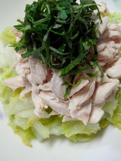 ささみと白菜のヘルシーサラダ-レシピのメイン写真