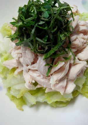 ささみと白菜のヘルシーサラダ-レシピのメイン写真