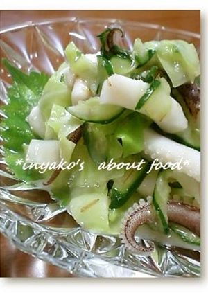 イカと野菜の酢ぬた（酢味噌）和え-レシピのメイン写真