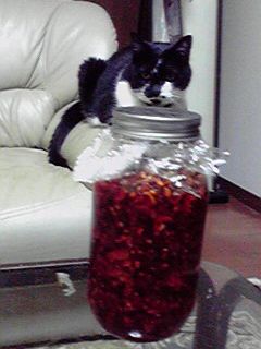 時間がたってもカリカリラー油!No,2-レシピのメイン写真