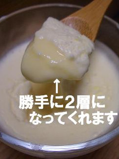 とろんとろんの2層プリン-レシピのメイン写真