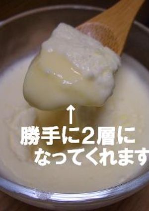 とろんとろんの2層プリン-レシピのメイン写真