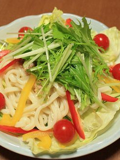 簡単☆ サラダうどん-レシピのメイン写真