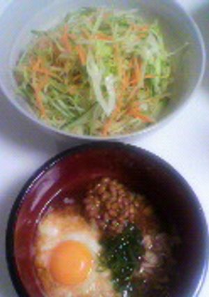野菜たっぷり♪ネバネバつけ麺-レシピのメイン写真