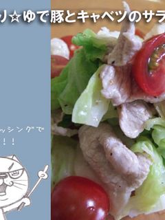 さっぱり☆ゆで豚とキャベツのサラダ-レシピのメイン写真