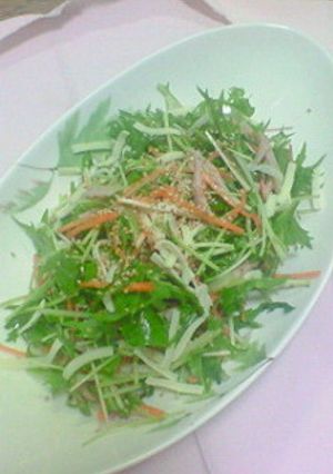 水菜で簡単サラダ-レシピのメイン写真