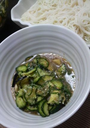 そうめんはこれ☆茄子と胡瓜のゴマ味噌だれ-レシピのメイン写真
