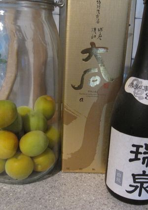男の自家製梅酒-レシピのメイン写真