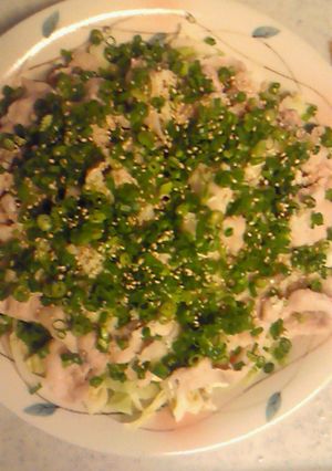 お野菜たっぷり☆絶品冷しゃぶ-レシピのメイン写真