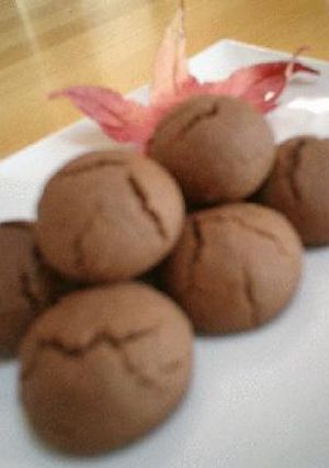 さくほろのココアミントクッキー-レシピのメイン写真