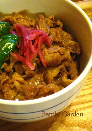 ママの豚丼♪-レシピのメイン写真