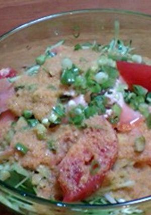 おろしダレの冷やし麺-レシピのメイン写真
