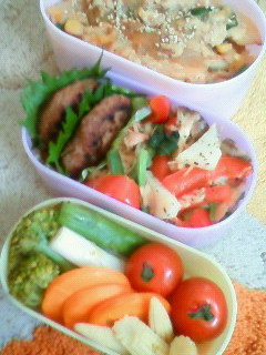 ヘルシー☆野菜のたまごとじ弁当-レシピのメイン写真