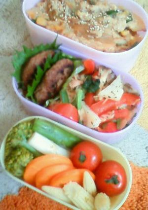 ヘルシー☆野菜のたまごとじ弁当-レシピのメイン写真