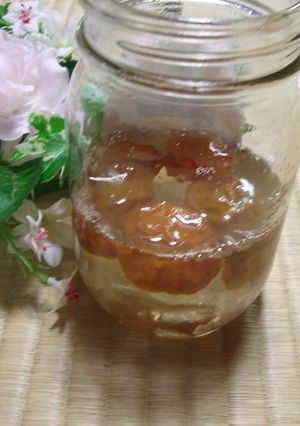 絶対美味しい梅ジュース☆木熟南高編-レシピのメイン写真