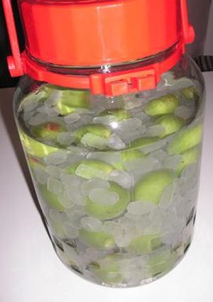 ♪手作り♪梅酒　～観察用～-レシピのメイン写真
