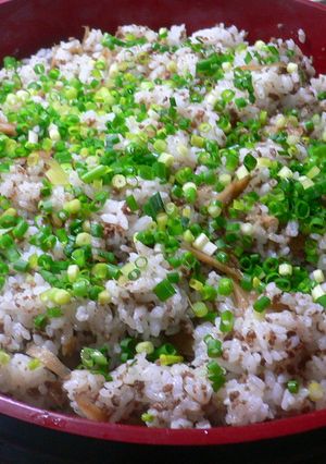 合びき肉とごぼうのまぜまぜごはん♪-レシピのメイン写真