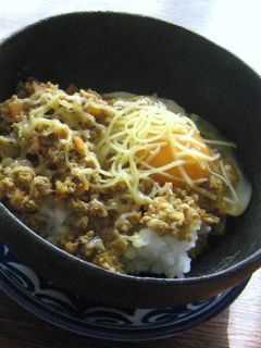 ドライ焼きカレー-レシピのメイン写真