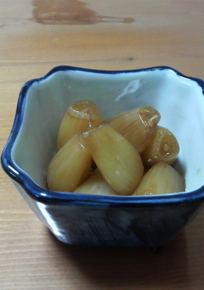 らっきょうの煮付け-レシピのメイン写真