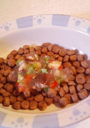 犬ご飯（万能ジュレ）-レシピのメイン写真