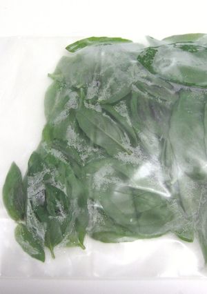 バジルの保存-レシピのメイン写真