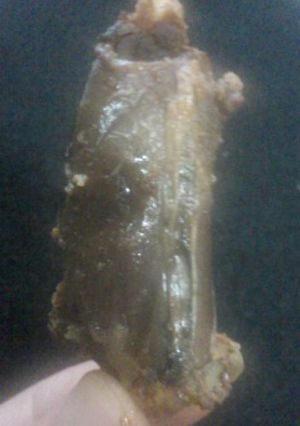 酒好きにはたまらない♪いかの腸-レシピのメイン写真