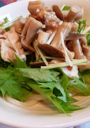 さっぱり！梅しめじ冷うどん-レシピのメイン写真