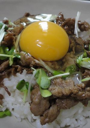 ピリ辛ぶた丼-レシピのメイン写真