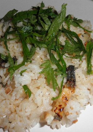 簡単♪うなぎごはん-レシピのメイン写真