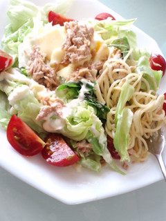 夏の卵豆腐入り超簡単な野菜サラダ麺-レシピのメイン写真