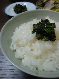 ♫生わさび入り♫きざみ海苔のおかか和え-レシピのメイン写真