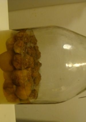 ☆はちみつ・砂糖MIX・梅ジュース☆-レシピのメイン写真