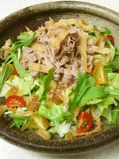 簡単スゴだれ冷しゃぶサラダ(nn)ノ-レシピのメイン写真