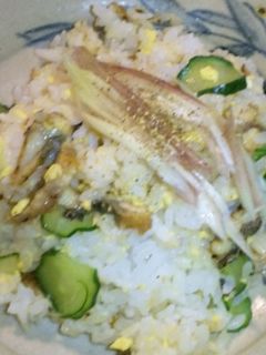 うな丼食べたいけど…うなぎの混ぜごはん✿-レシピのメイン写真