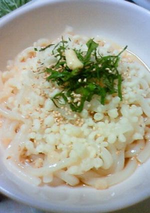 簡単☆さっぱりぶっかけうどん-レシピのメイン写真