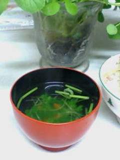 家庭菜園葉っぱの吸い物-レシピのメイン写真