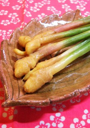 谷中生姜の味噌漬け-レシピのメイン写真