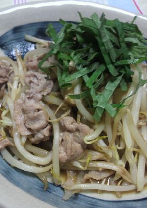 ☆豚とモヤシの生姜醤油炒め☆-レシピのメイン写真